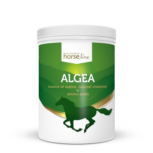 HorseLinePRO Algea